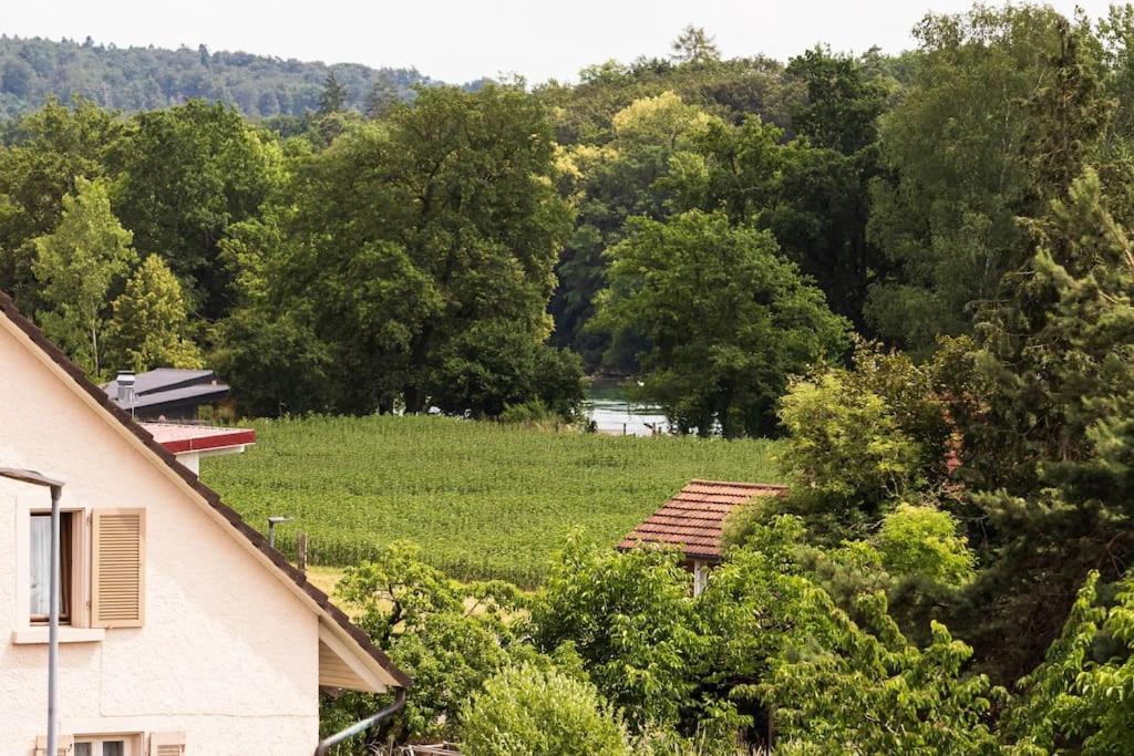 Luxury Apartment On The Rhein Busingen am Hochrhein Bagian luar foto