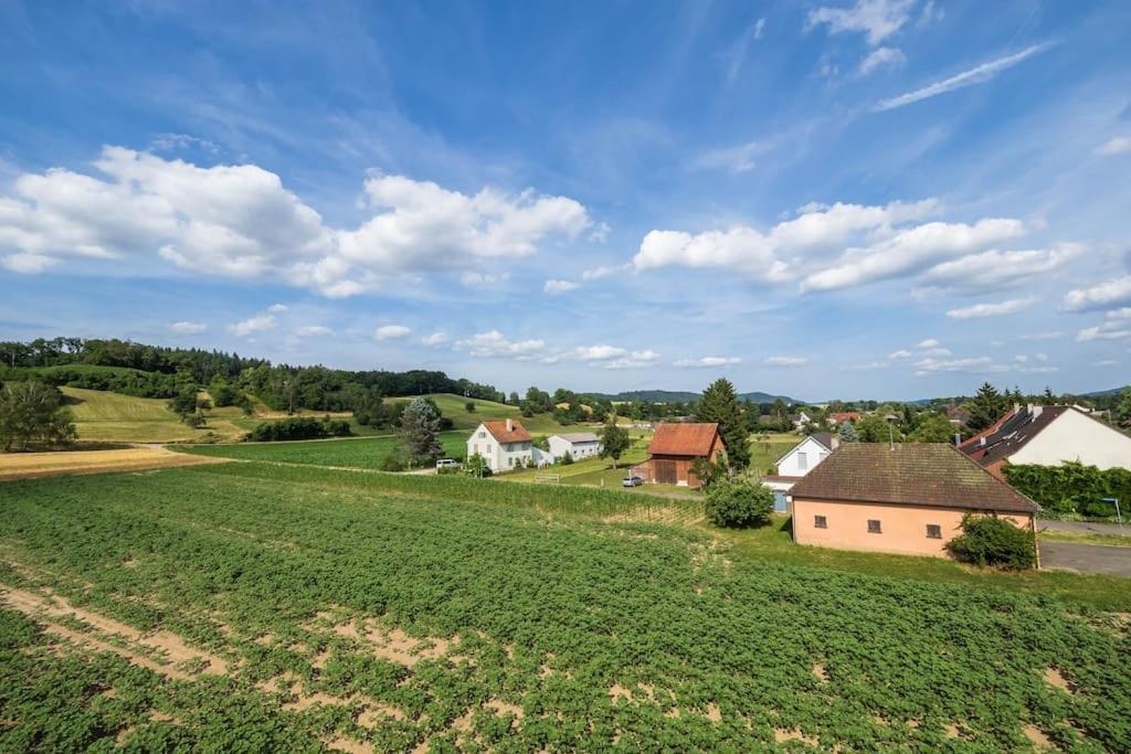 Luxury Apartment On The Rhein Busingen am Hochrhein Bagian luar foto